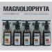Magnoliophyta | Rose Hip Oil and Vitamin C | 50 ml | Face and Body | All Skin Types | Antioxidant and Regenerating Oil | Nourishes and Protects Skin | 100% Natural from Chile - Buy Online on GoSupps.com
