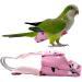 Shop Colorful Parrot Diapers - Washable & Cute Floral Patterns for Medium Birds - Buy Online on GoSupps.com