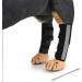 Dog Front Leg Braces Canine Compression Wraps Pet Knee Pad Dog Elbow Protector with Reflective Straps Help with Ligament Injuries Sprains and Loss of Stability Caused by S (Pack of 1) - Buy Online on GoSupps.com