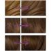 Clairol Nice'n Easy No Ammonia Hair Dye 75 Light Ash Brown 1 Count (Pack of 1) - Buy Online on GoSupps.com
