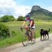 Italian Poppy Pet Dog Bicycle Line | Hands-Free Bike Lead for Dogs | Ideal for Cycling & Running | Durable & Practical - Buy Online on GoSupps.com