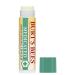 Burt's Bees Medicated Lip Balm Stocking Stuffer for Dry Chapped Lips - Holiday Gift with Menthol & Eucalyptus (2 Pack) - Buy Online on GoSupps.com