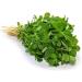 Seelans Fresh Methi Leaf Bunch Double Bunch Methi Indian herb Fresh Leaf Venthaya Keerai Fenugreek leaves Bitter Taste & Strong Aroma Approx 200G