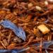 Jardins De Gaia With The Fairies Rooibos Tea 100g - Buy Online on GoSupps.com