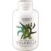 Synergy Natural Organic Chorella - Pack of 500 Tablets 500 count (Pack of 1)