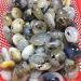 1pc raw Natural Crystals Moss Agate Palm Stone for Home Decoration - Buy Online on GoSupps.com