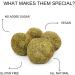 nouri Matcha Green Tea balls Vegan Gluten Free No Added Sugar (8 packs of 10 balls each) 800 gms - Buy Online on GoSupps.com