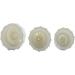 Hydrafacial Replacement Tips White Silicone Vortex Beauty Tips For Water Peel Aqua Peel Hydrofacial Parts Silicone 3 Pcs For Elitzia ETLB245 Or ET89 ETLB248 Beauty Machine White Silicone 3Pcs - Buy Online on GoSupps.com