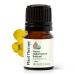 Plant Therapy Organic Helichrysum Essential Oil (Italicum) 2.5 mL (1/12 oz) 100% Pure Undiluted USDA Certified Organic Great for Skincare Diffusion and Aromatherapy