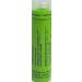 Calendula Officinalis 200K Homeopathy Medicine Schmidt-Nagel Canada (Homeodel) 90 pellets/granules - Buy Online on GoSupps.com
