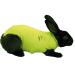 Rabbit Pet Shirt Medium