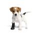 Grande final protective and relaxation socks breathable for dogs cats 100 % softshell - surgical protective covers against injuries stop licking 5 (XL) - 10cm (3.9 ) h - 23cm black