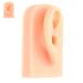 ULTECHNOVO Simulation Ear Model Ear Model Silicone Body Parts for Practice Silicone Human Ear Prosthesis Perforation Khaki Silica Gel Ear Model Ear Jewelry Display Model Silicone Body Parts