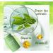 Chilits Skin Care Mask Set Green Tea Mask Stick with Coral Fleece Bunny Headband Face Moisturizes Oil Control Deep Clean Pore Green Tea Purifying Clay Stick Mask for All Skin Types Men Women - Buy Online on GoSupps.com