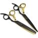 Hair Cutting Scissors 6 Inch Professional JP440c Steel Bearing Scissor Tiger Hair Scissors Haircut Thinning Barber Cutting Shears Hairdresser Scissors Set - Buy Online on GoSupps.com