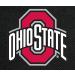 Ohio State University Buckeyes Lunch Bag - Official OSU Shoulder Lunch Box - Buy Online on GoSupps.com