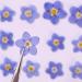 YUNZHI Forget Me Not Flowers - Dried Pressed Flowers for Resin, Candle, Soap Making - 40pcs/Pack - Buy Online on GoSupps.com