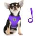 Femax Dog Harness & Linen Set - Soft Mesh Padded Reflective & Adjustable - Breathable Breasts for Walking Running & Training (30-34 cm Purple) - Ideal for Dogs Puppies & Cats | International Shipping Available - Buy Online on GoSupps.com