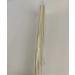Coriver 150 Pieces Reed Diffuser Sticks | Essential Oil Aroma Scent Replacement - 24cm x 3mm for Home Fragrance - Buy Online on GoSupps.com
