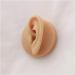Silicone Ear Model - Simulation Human Ear Model - for Human Body Piercing Acupuncture and Moxibustion Ear Teaching Earrings Earrings Show Left - Buy Online on GoSupps.com