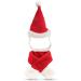 PETLESO Cat Santa Hat and Scarf Christmas Costume Set - Festive Holiday Accessories for Dogs and Cats - Buy Online on GoSupps.com