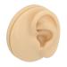 Soft Silicone Left Ear Simulation Model for Medical Teaching - Ideal for Hearing Aid Display - Buy Online on GoSupps.com