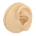 Human Ear Model Left Ear Soft Lifelike Fake Ear Model for Teaching Demonstration - Buy Online on GoSupps.com