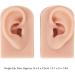 Soft Silicone Reusable Ear Model - 1 Pair, Simulated Human Skin, Middle Skin Color - Ideal for Teachers and Hospitals - Buy Online on GoSupps.com