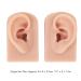 Mid Skin Ear Model Silicone Piercing Model for Ear Massage Practice Teaching Display for School and Hospital (Medium Skin Color) - Buy Online on GoSupps.com