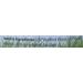 Buy Native Remedies Triple Complex BronchoSoothe - Homeopathic Relief for Chest Constriction & Breathing - Supports Lung Function - 59 mL - Buy Online on GoSupps.com