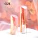 6 Empty Refillable Lipstick Tubes - DIY Lip Balm Containers for Travel & Women's Makeup - Buy Online on GoSupps.com