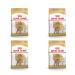 Royal Canin Poodle Adult | Double Pack | 4 x 500 g | Dry food for Adult Poodle | to Support Coat and Muscle Tone | for Dogs from 10 Months