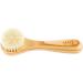 SHASH Exfoliating Face Brush - Made in Germany | Deep Intense Boar Bristle | Gently Exfoliates Skin for Glowing Complexion | Eco-Sourced Beech Wood - Buy Online on GoSupps.com