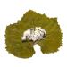 Armenian Premium Grape Leaves 24.7 Ounce Glass Jar 1.54 Pound (Pack of 1) - Buy Online on GoSupps.com