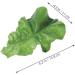 Beaupretty Fake Lettuce Leaves Artificial Vegetables Lettuces Alligator Hair Clip Vegetable Hairpin Hair Clip Cute Hair Accessories Sweet Barrette Creative Party Headdress for Women Girls - Buy Online on GoSupps.com