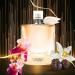 Womens La Vida Bella Pour Femme Eau de Parfum 3.4 Fl. Oz. Floral Fruity Gourmand fragrance for Women. - Buy Online on GoSupps.com