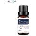 Care Thin Oil Nose Lift Shampoo 10ml - Non-Drilling Multicolor - Beauty Treatment for a Stunning Nose | International Shipping - Buy Online on GoSupps.com