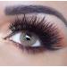 Buy Ivory Colored Year Contact Lenses - 2 Pack (Brown Blue Green Gray Turquoise) - Comfortable Fit for All Eye Colors - Includes Storage Box - Buy Online on GoSupps.com