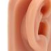Flexible 3D Silicone Ear Model for Acupuncture Training | Reusable Soft Elastic Ear Piercing Model - International Shipping Available - Buy Online on GoSupps.com