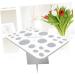 Beaupretty 26 Air Drying Rack - Premium Makeup Brush Holder & Storage for Cosmetics - White | International Shipping Available - Buy Online on GoSupps.com