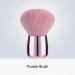 lmoikesz Makeup Brush Tool For Precise And Professional Makeup Application Makeup Brush Tools ABS Makeup Brush Set Blush Brush powder brush - Buy Online on GoSupps.com