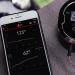 Weber Igrill 2 - Intelligent Bluetooth Meat Thermometer | 4 Connections Smartphone App Control Magnetic Holder | Best Grill Thermometer (7221) - Buy Online on GoSupps.com