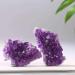 Natural Quartz Amethyst Cluster Stones Specimen Home Decoration Crafts Purple Crystal Sample 1Pcs Crystsl Cluster 30-40g Home Goods (Color : Crystsl Cluster Size : 40-50g) 40-50g Crystsl Cluster - Buy Online on GoSupps.com