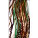 Buy Grizzly Extensions EasyIn Forest Feather Extensions | International Shipping Available - Buy Online on GoSupps.com