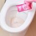 The Pink Stuff Miracle Toilet Cleaner Gel 750ml + The Pink Stuff Foaming Toilet Cleaner (1pk contains 3 x 100g sachets) 1Pk + Elbow Grease Rubber Gloves Cotton Lined 1Pair Size M - Buy Online on GoSupps.com