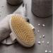 Organic Body Brush for Dry Skin - Lymphatic Drainage & Cellulite Treatment with Natural Wild Boar Bristles | Spa Peeling & Massage - Medium Oval - Buy Online on GoSupps.com