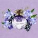 Tocca Women's Eau de Parfum Maya Fragrance 1.7oz (50 ml) - Warm Floral Wild Iris Blackcurrant Patchouli Heart - Hand-Finished Bottle 1.7 Fl Oz (Pack of 1) - Buy Online on GoSupps.com