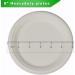 CantaGreen 6 Compostable Dessert Plates - 100 Count | Biodegradable Sugarcane/Bamboo Fibre Disposable Plates - Buy Online on GoSupps.com