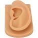 Flexible Silicone Right Ear Model for Hearing Aid Demonstration - Waterproof & Ideal for Science Education - Buy Online on GoSupps.com