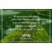 Buy Dr. Cient Wild Pistacia Bittim Soap - Organic Vegan Handmade Anti-Hair Loss Solution (140g) - Buy Online on GoSupps.com